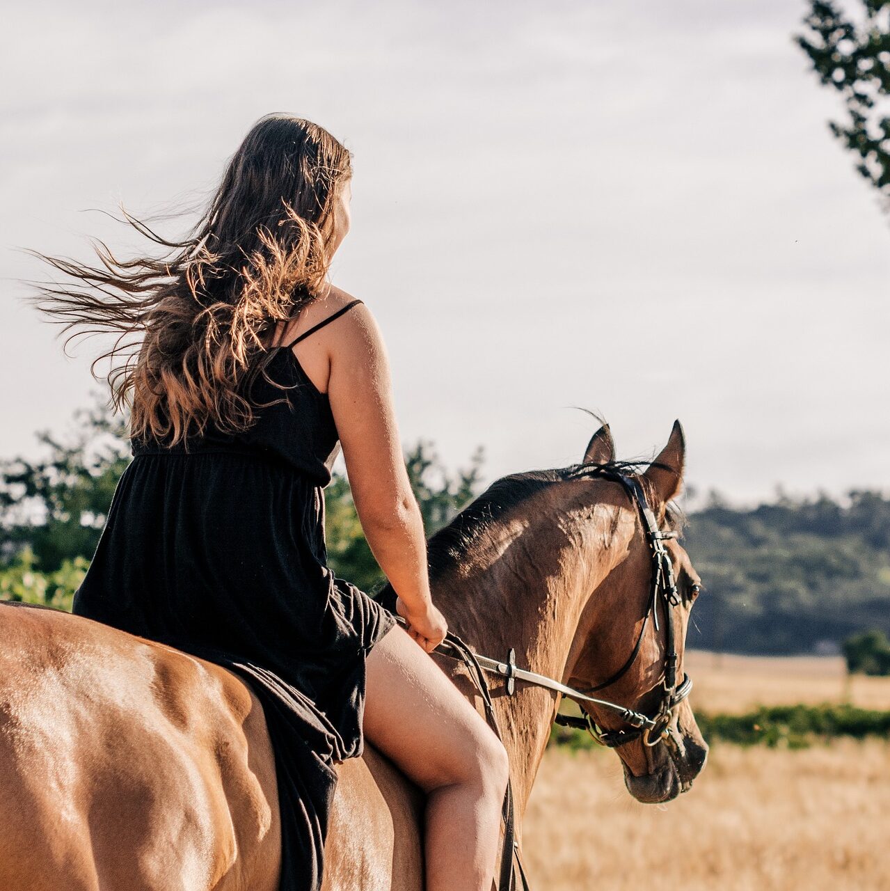 Horseriding